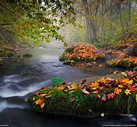 Image result for National Geographic Screensavers Fall