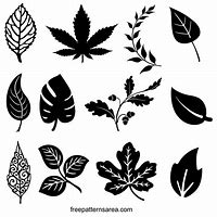 Image result for Leaves Vector Free