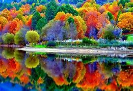 Image result for Colorful Windows 11 Wallpaper