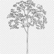 Image result for Architectural Drawing Tree Line