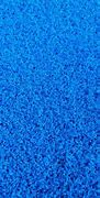 Image result for Light Blue Grass