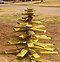 Image result for Patterns for Wooden Christmas Trees