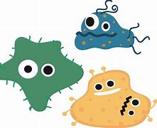 Image result for Bacterial Cell Cartoon