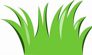 Image result for Grass Border Transparent