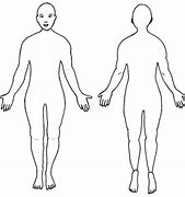 Image result for Human Body Diagram Outline Pain