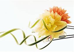 Image result for Windows 10 Flower Wallpaper