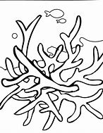 Image result for Reef Coloring Pages