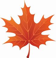 Image result for Fall Leaves Vector Free