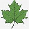 Image result for Grape Leaf Clip Art