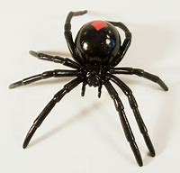 Image result for Redback Spider