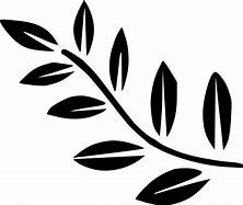 Image result for Olive Branch Outline