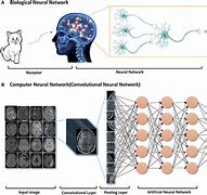 Image result for Neurol Network Model