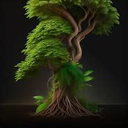 Image result for Jungle Tree with Vines