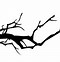 Image result for Curved Leaf Branch Silhouette