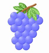 Image result for Grape Leaf PNG