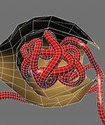 Image result for Nephron Structure Poster