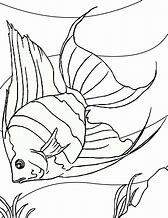 Image result for Beautiful Fish Coloring Pages