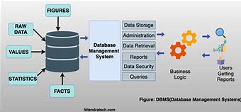 Image result for Database Information System Example