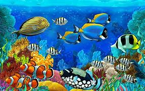 Image result for HD Wallpapers for PC Sea Life