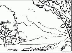 Image result for Kids Coloring Forest