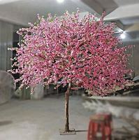 Image result for Peach Blossom Tree