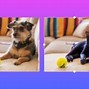 Image result for Ai Background Maker