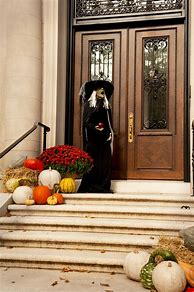 Image result for Best Outdoor Halloween Decorations