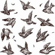 Image result for Flock of Sparrows