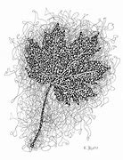 Image result for Maple Leaf Drawing Template