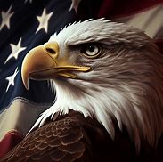 Image result for Bald Eagle American Flag Line Art