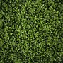 Image result for Green PC Wallpaper 8K