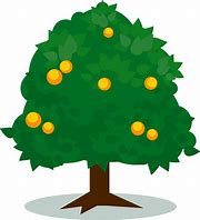 Image result for Orange Tree Clip Art