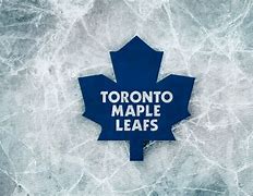 Image result for Maple Leafs Game