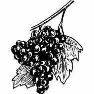 Image result for Happy Grapes Clip Art