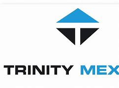 Image result for Trinity Rail Logo