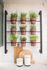 Image result for Kitchen Wall Herb Garden