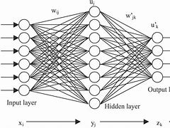 Image result for Neural Network in Human Brain Image