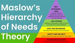 Image result for Maslow Theory of Cork