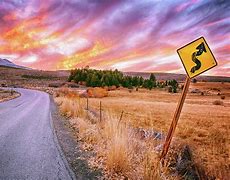 Image result for Curvy Road Warning Sign