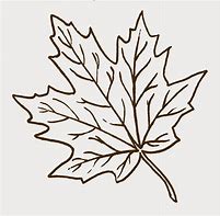 Image result for Leaf Black White