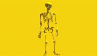 Image result for Skeleton Cartoon for Kids