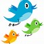 Image result for Colourful Birds Clip Art