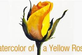 Image result for Rose Bud Watercolor Painting