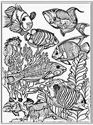 Image result for Hard Fish Coloring Pages