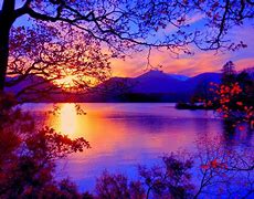 Image result for Amazing Autumn Leaves