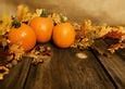 Image result for Fall Leaves Print Out