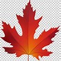 Image result for Transparent Real Yellow Maple Leaf