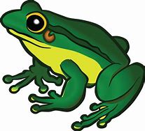 Image result for Cute Free Clip Art of a Frog