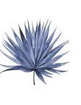 Image result for Botanical Palm Leaf Silouette