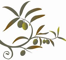 Image result for Olive Branch Graphic Clip Art